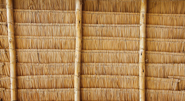 Thatch 1 Thatch 1