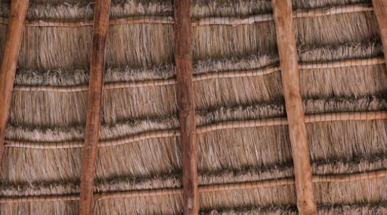Thatch 2 Thatch 2